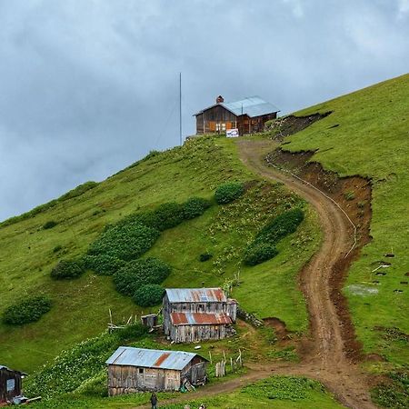 Satibe yayla evi Daire Aralık Dış mekan fotoğraf