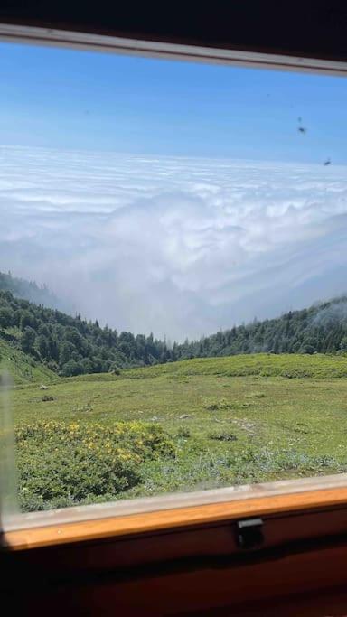 Satibe yayla evi Daire Aralık Dış mekan fotoğraf